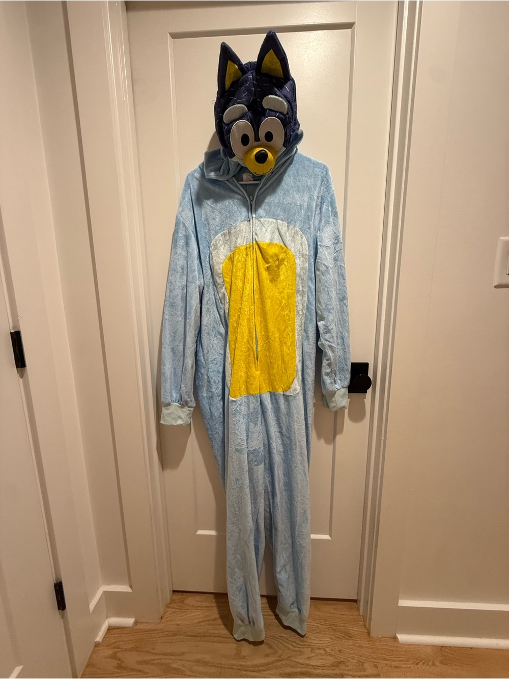 Adult Bluey Halloween Costume